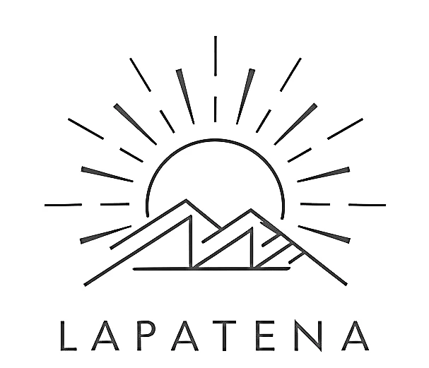 la patena limpieza placas solares